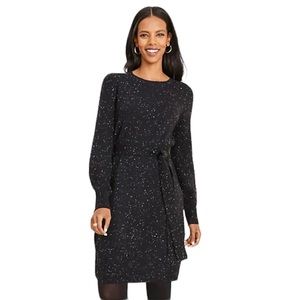 ANN TAYLOR Long Sleeve Belted Sweater Dress
